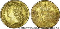 LOUIS XV DIT LE BIEN AIMÉ Louis d’or aux écus ovales, tête ceinte d’un bandeau 1753 Paris TTB/TB+