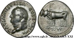 VESPASIEN Denier hybride TTB