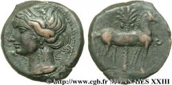 ZEUGITANIA - CARTAGE Shekel de bronze, (MB, Æ 22)