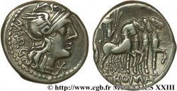 VARGUNTEIA Denier