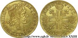 LOUIS XIII LE JUSTE Louis d&nbsp;or aux huit L (effigie de Jean Warin) 1641 Paris, Monnaie du Louvre