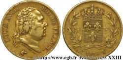 40 francs or Louis XVIII 1818 Lille F.542/8 VF 