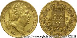 20 francs or Louis XVIII, tête nue 1819 Lille F.519/18 XF 