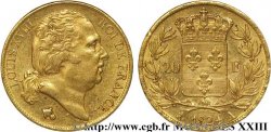 20 francs or Louis XVIII, tête nue 1824 Paris F.519/31 TTB 