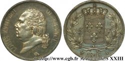 5 francs Louis XVIII tête nue 1816  Paris F.309/1 AU 