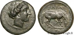 THESSALIE - LARISSA Bronze, (PB, Æ 18)