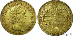 LOUIS XIV LE GRAND OU LE ROI SOLEIL Double louis d&nbsp;or aux huit L, portrait à la mèche courte 1648 Lyon