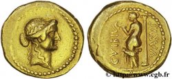 VIBIA Aureus