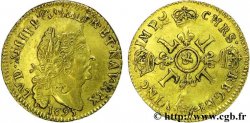 LOUIS XIV &nbsp;THE SUN KING&nbsp; Louis d&nbsp;or aux quatre L 1695 Aix-en-Provence XF
