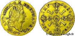 LOUIS XIV  THE SUN KING  Demi-louis d or aux quatre L 1694 Lyon