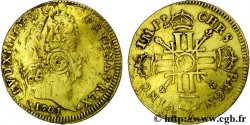 LOUIS XIV  THE SUN KING  Louis d’or aux 8 L et insignes 1701 Paris