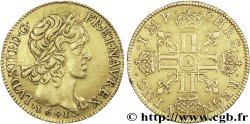 LOUIS XIII LE JUSTE Louis d&nbsp;or aux huit L (effigie de Jean Warin) 1641 Paris, Monnaie du Louvre