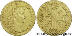 LOUIS XIV &nbsp;THE SUN KING&nbsp; Louis d&nbsp;or aux huit L, portrait à la tête nue 1668 Paris