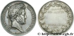 LUIGI FILIPPO I Médaille parlementaire AR 41