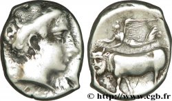 CAMPANIA - NOLA Nomos ou didrachme VF/XF