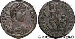 CONSTANS Maiorina