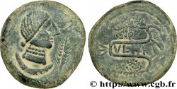 HISPANIA - VLIA (Province of Cordoue) Unité de bronze ou as, (GB, Æ 31)