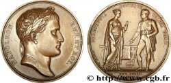 PRIMO IMPERO Médaille BR 40, Visite de Napoléon à Toulouse