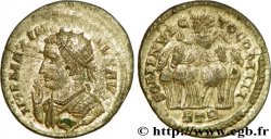 MASSIMINO II DAIA Pseudo-argenteus MS