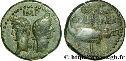 NEMAUSUS - NISMA - AUGUSTO e AGRIPPA Dupondius COL NEM (as)