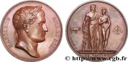 PREMIER EMPIRE / FIRST FRENCH EMPIRE Médaille BR 41, La Vaccine AU