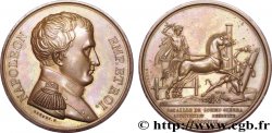 PREMIER EMPIRE Médaille BR 41, Bataille de Sommo Sierra