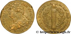 LOUIS XVI (MONARQUE CONSTITUTIONNEL)  2 sols dit &nbsp;au faisceau&nbsp;, type FRANÇOIS 1792 Paris