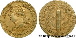 LOUIS XVI 3 deniers dit &nbsp;au faisceau&nbsp;, type FRANCOIS 1792 Lyon