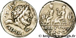 CALPURNIA Denier