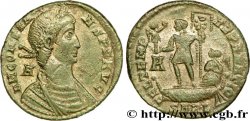 CONSTANS Maiorina