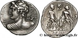 CAESIA Denier
