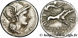 FLAMINIA Denier SUP