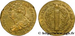 LOUIS XVI (MONARQUE CONSTITUTIONNEL)  2 sols dit  au faisceau , type FRANÇOIS 1792 Paris TTB+