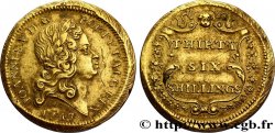 PORTUGAL (ROYAUME DE) ET BRÉSIL - JEAN V Poids monétaire pour les pièces d’or de 6.400 reis du Brésil 1747 Londres
