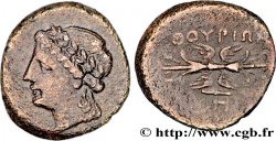 LUCANIE - THURIUM Quadrans TTB+