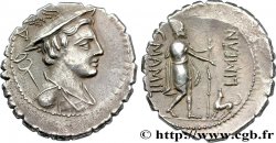 MAMILIA Denier Serratus AU