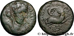 SYRIA - SELEUCIA and PIERIA - ANTIOCHIA - AUGUSTUS Bronze