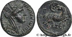 SYRIE - SÉLEUCIE ET PIÉRIE - ANTIOCHE - AUGUSTE Bronze