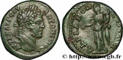 CARACALLA Diassaria