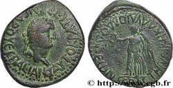 VESPASIEN Diassaria