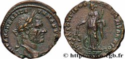 MACRINUS Tetrassaria AU