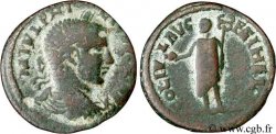 FELIPE II Diassaria