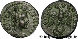 TROAS - ALEXANDRIA Triassaria