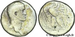 GALBA Tétradrachme syro-phénicien