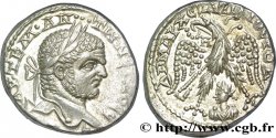 CARACALLA Tétradrachme syro-phénicien