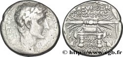 AUGUSTUS Tétradrachme syro-phénicien