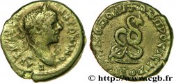ELAGABALUS Assarion