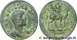 HÉRENNIUS ÉTRUSCUS Triassaria TTB