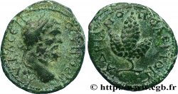 SEPTIME SÉVÈRE Assarion