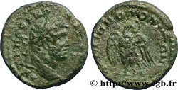 CARACALLA Assarion